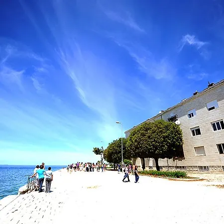 Διαμέρισμα Sea Organ *