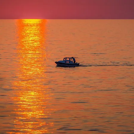 Διαμέρισμα Sea Organ *